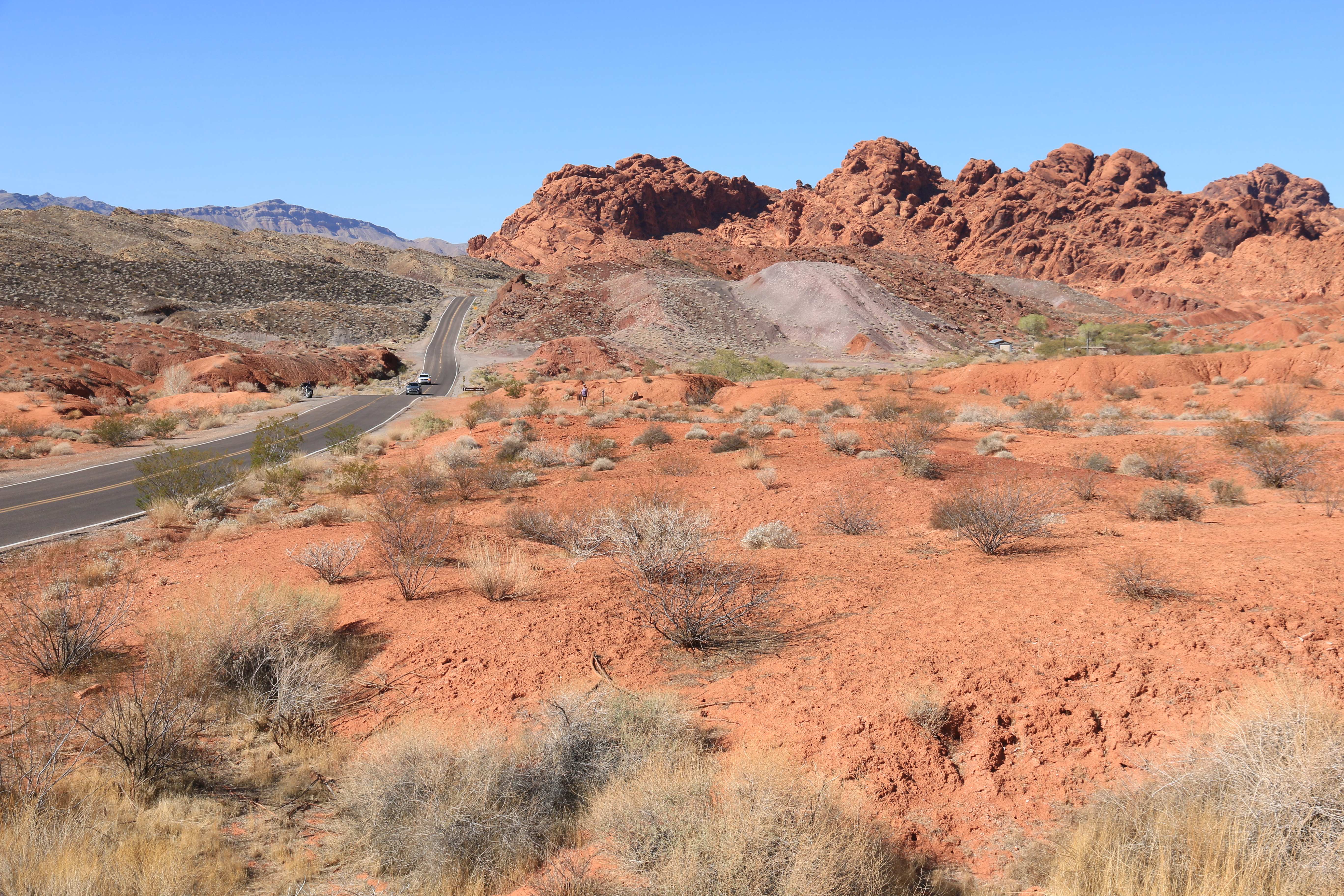 Nevada